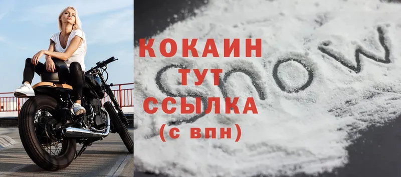 Cocaine Fish Scale  Новосиль 